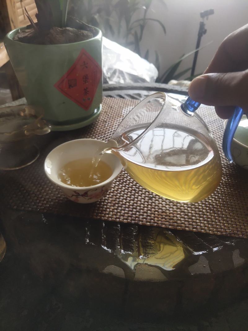 纯手工原种六堡明前茶