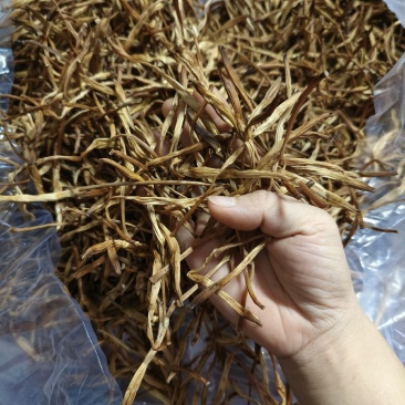 黄花菜，无硫，根条好，厂家产地直供原菜无疏等