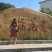 黄花菜，无硫，根条好，厂家产地直供原菜无疏等
