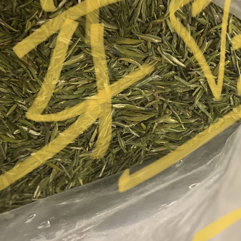 明前翠芽
