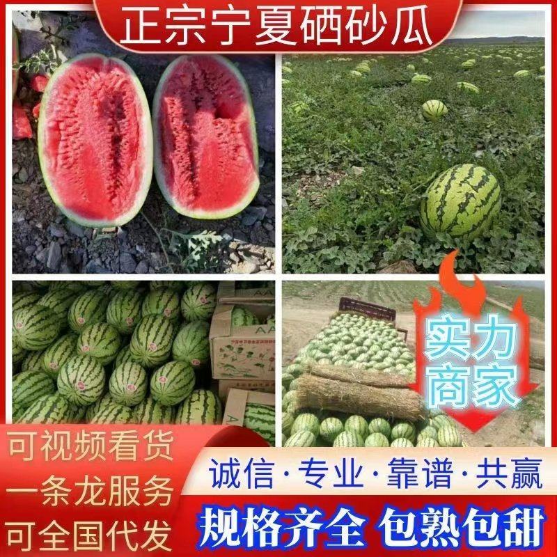 正宗宁夏中卫石头瓜，口感好，糖度高，保证质量，可全国发货