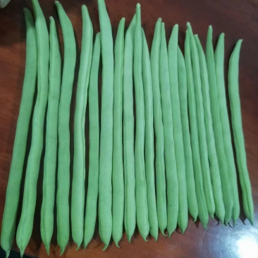 小金豆