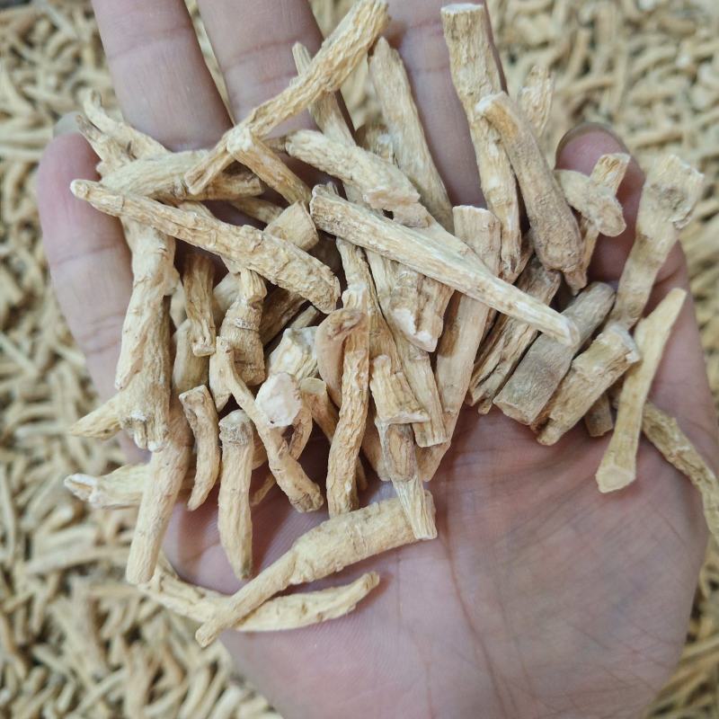 批发.西洋参丁腿500克花旗参参腿泡水煮汤泡酒片段