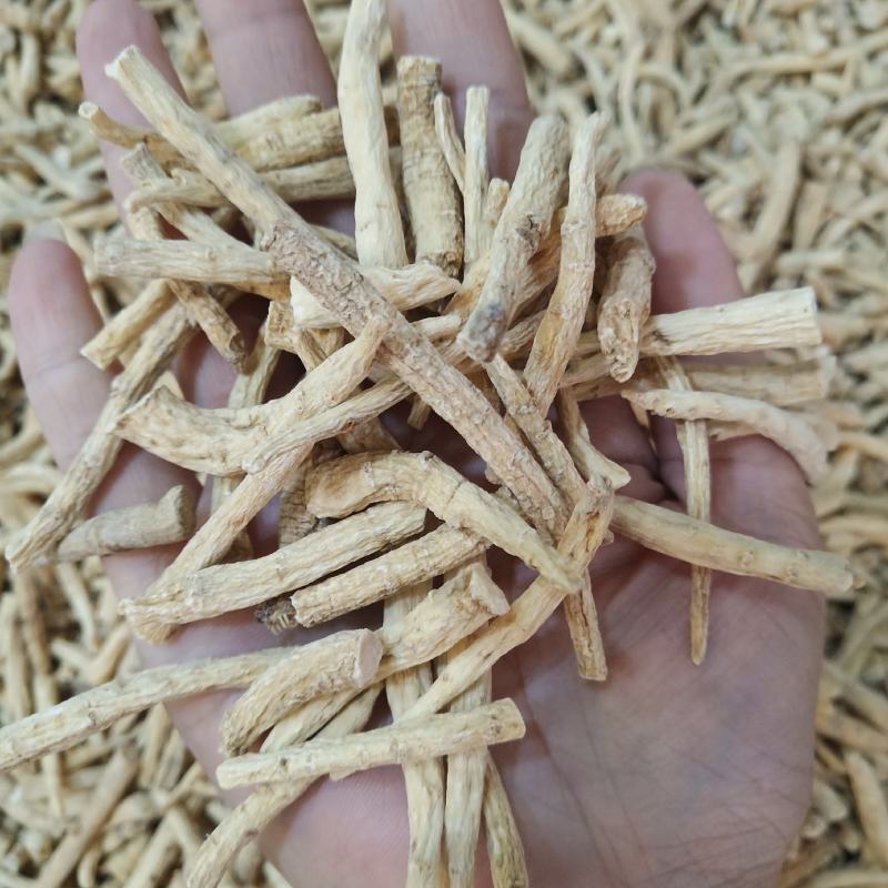 批发.西洋参丁腿500克花旗参参腿泡水煮汤泡酒片段