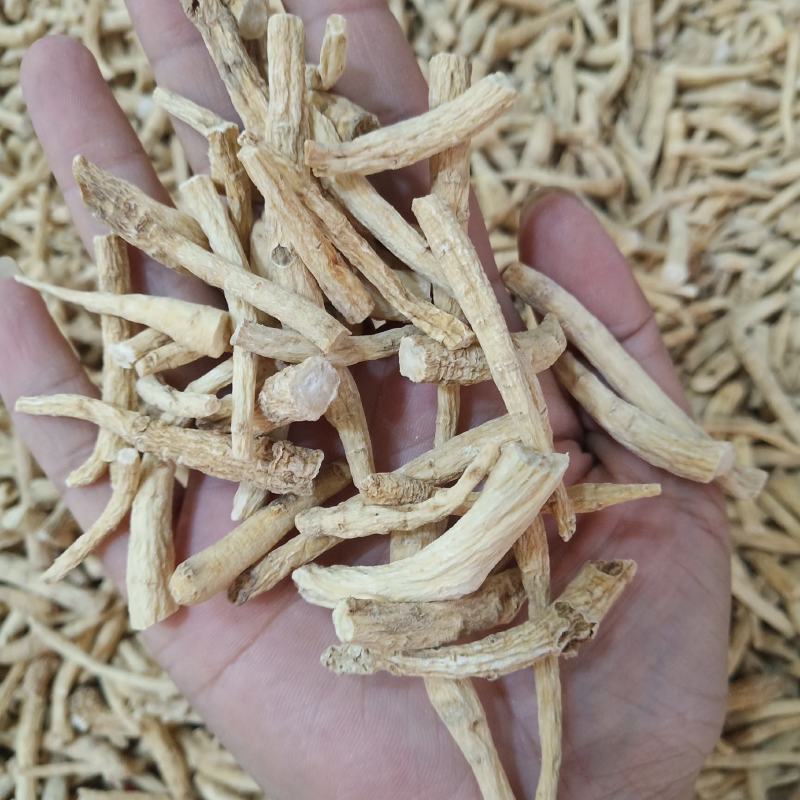 批发.西洋参丁腿500克花旗参参腿泡水煮汤泡酒片段