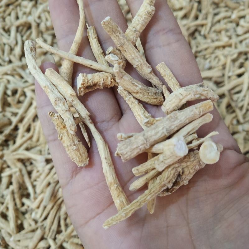 批发.西洋参丁腿500克花旗参参腿泡水煮汤泡酒片段
