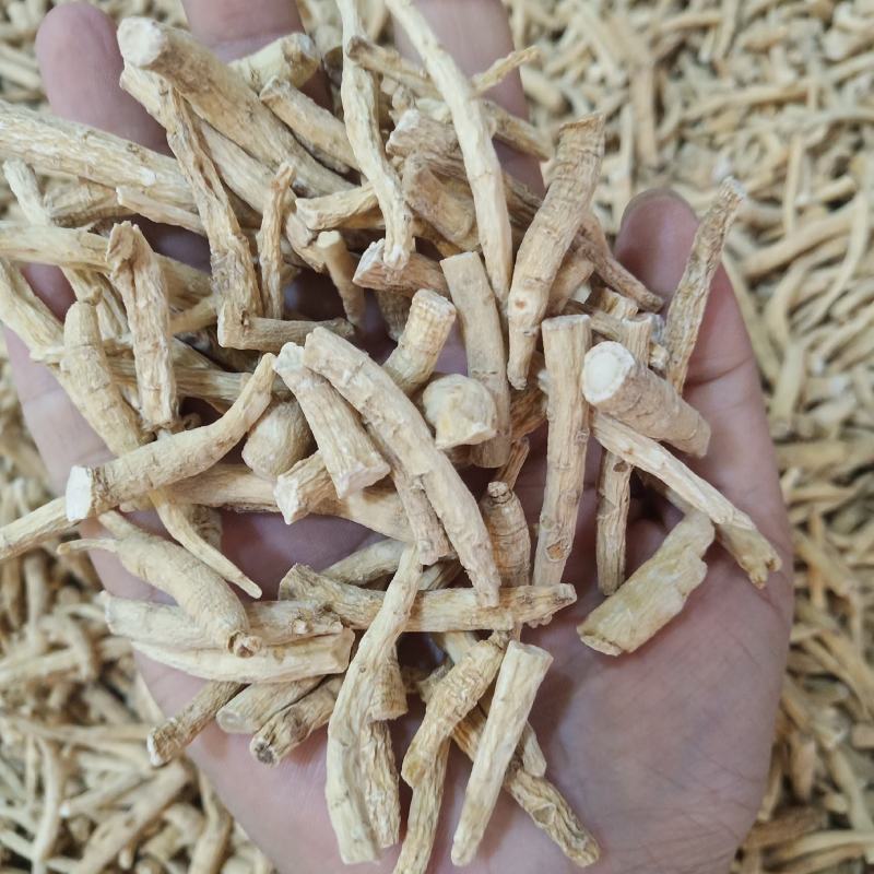批发.西洋参丁腿500克花旗参参腿泡水煮汤泡酒片段