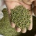 出售小米草种子新种子
