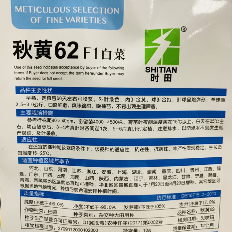 秋黄62白菜种子早熟内叶金黄，球叶合抱黄心大白菜种子