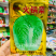 申荣火锅菜大白菜种子叶柄薄而平中晚熟杂交大白菜种籽