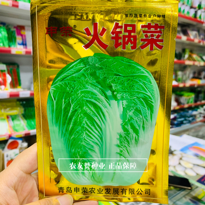 申荣火锅菜大白菜种子叶柄薄而平中晚熟杂交大白菜种籽