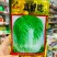 申荣真好吃结球大白菜种子中晚熟品种，叶柄薄好吃白菜种籽