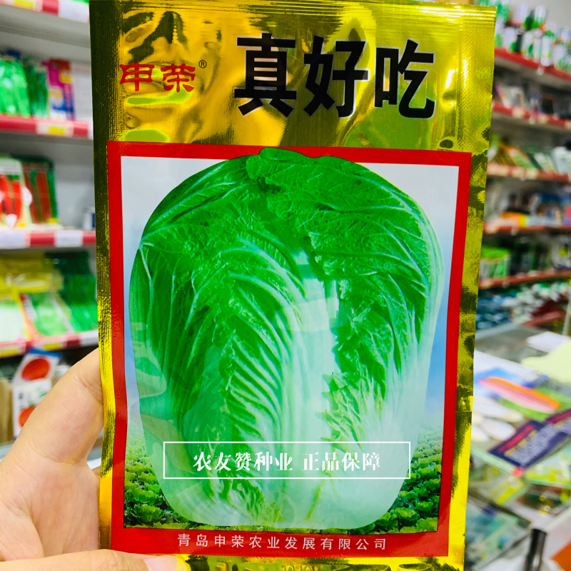 申荣真好吃结球大白菜种子中晚熟品种，叶柄薄好吃白菜种籽