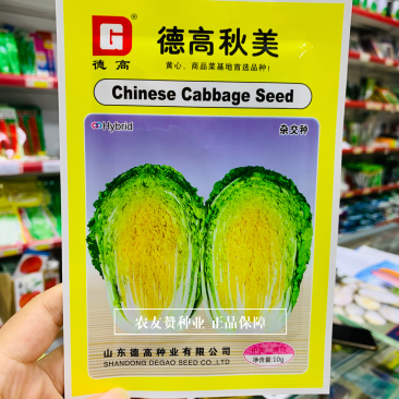 德高秋美黄心大白菜种子商品菜基地专用品种，黄心秋白菜