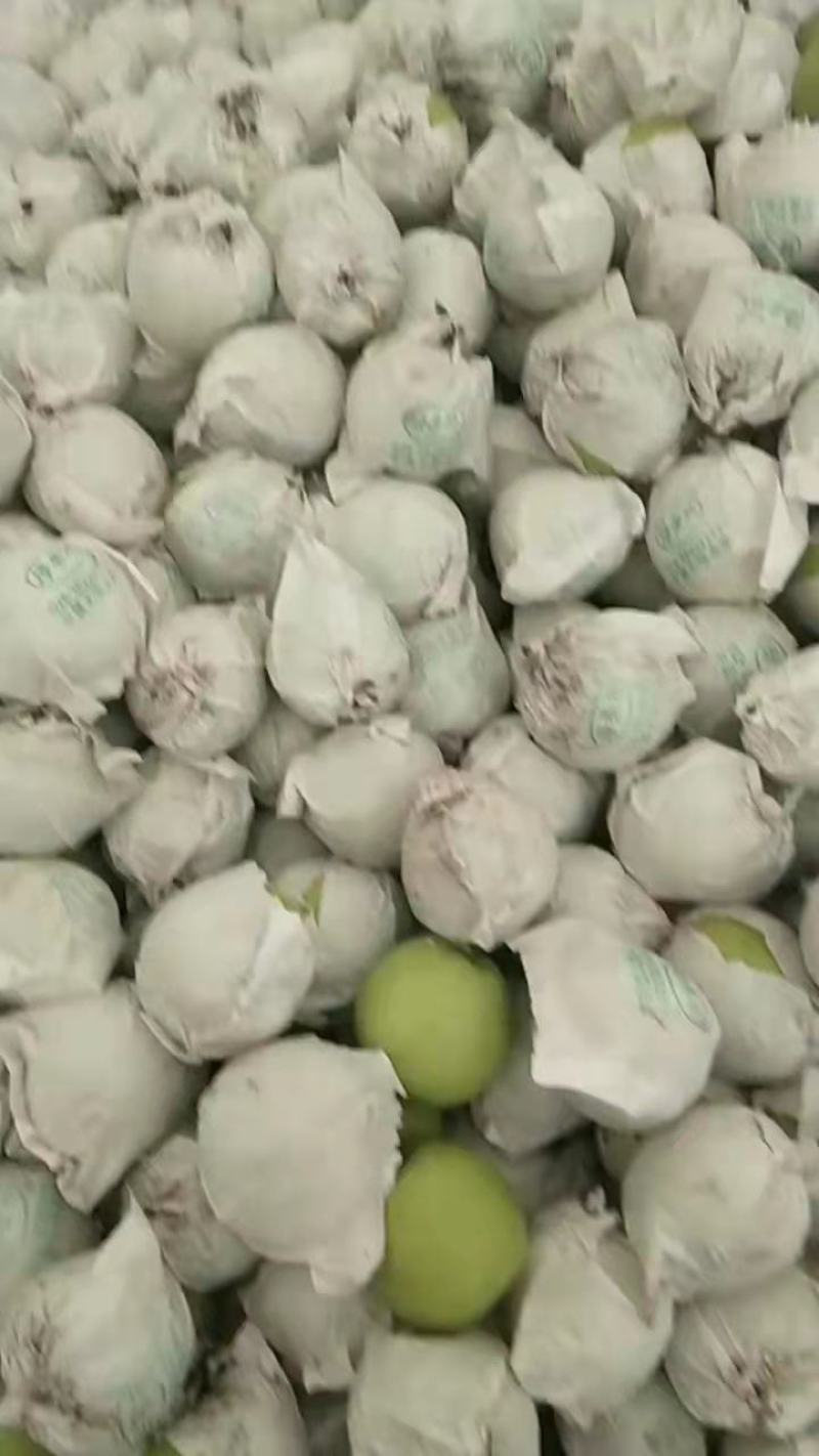 青苹果一手货源产地直发欢迎各位老板来购