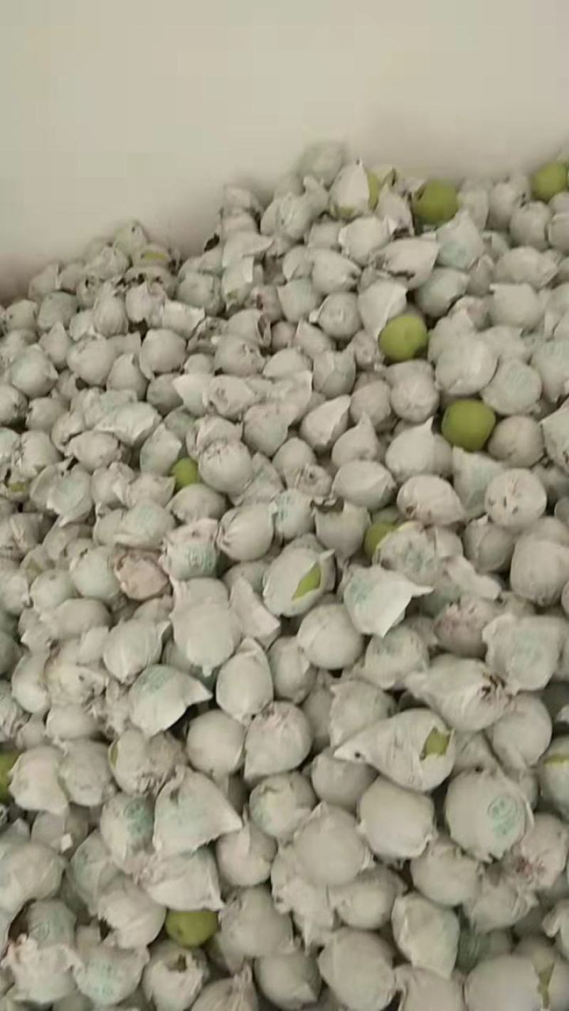 青苹果一手货源产地直发欢迎各位老板来购