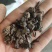 蜘蛛黑蜘蛛个大货干数量有限先到先得不满意可以退换
