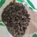 蜘蛛黑蜘蛛个大货干数量有限先到先得不满意可以退换