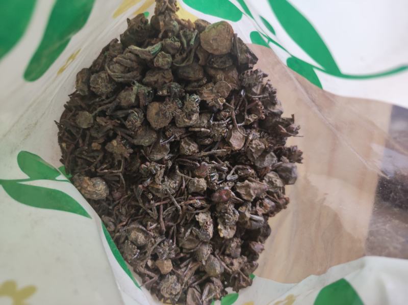蜘蛛黑蜘蛛个大货干数量有限先到先得不满意可以退换