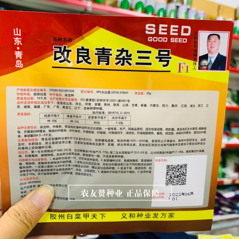 义和改良青杂三号白菜种子，杂交种中晚熟结球大白菜种子