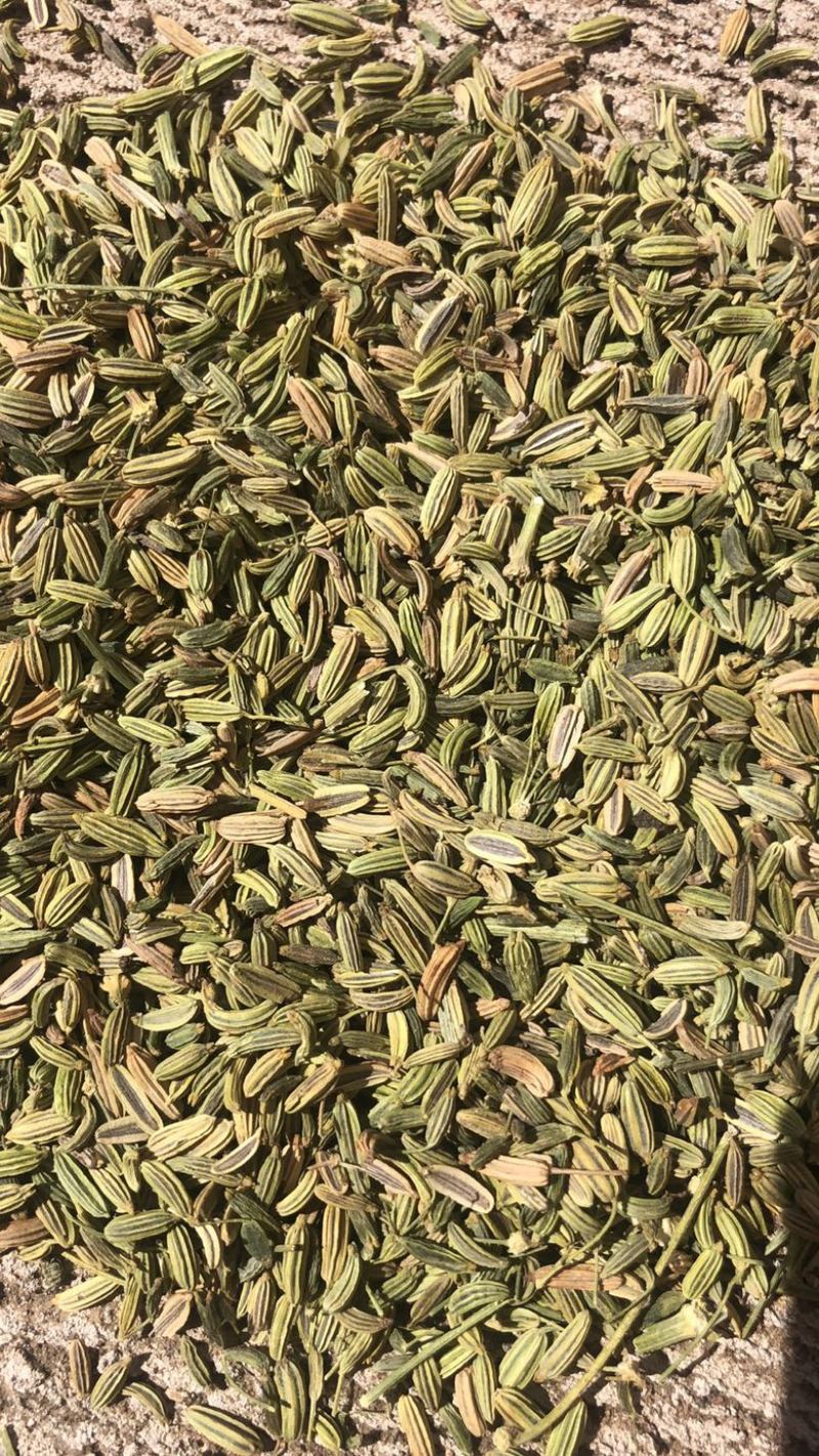 甘肃小茴香，颗粒饱满，色泽鲜亮，味道悠长，一手货。