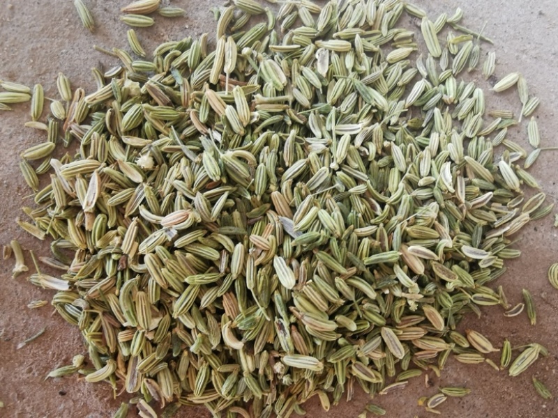 甘肃小茴香，颗粒饱满，色泽鲜亮，味道悠长，一手货。