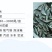 鲫鱼苗