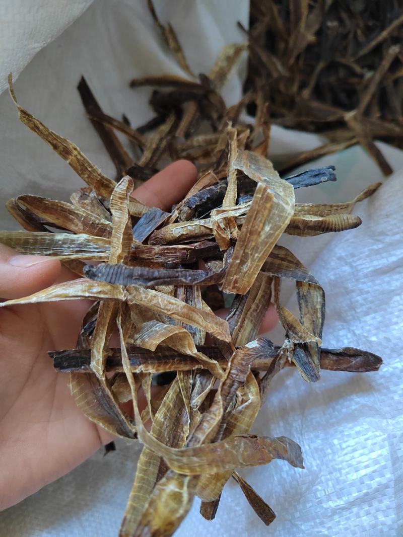 地龙，全开地龙，半开地龙，地龙段，加工户收购产地河南