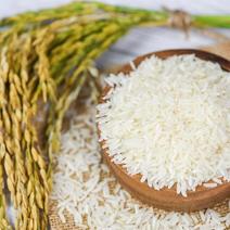 柳江一都米是一种原生稻，其以软、香、糯的口感，赢得大家喜