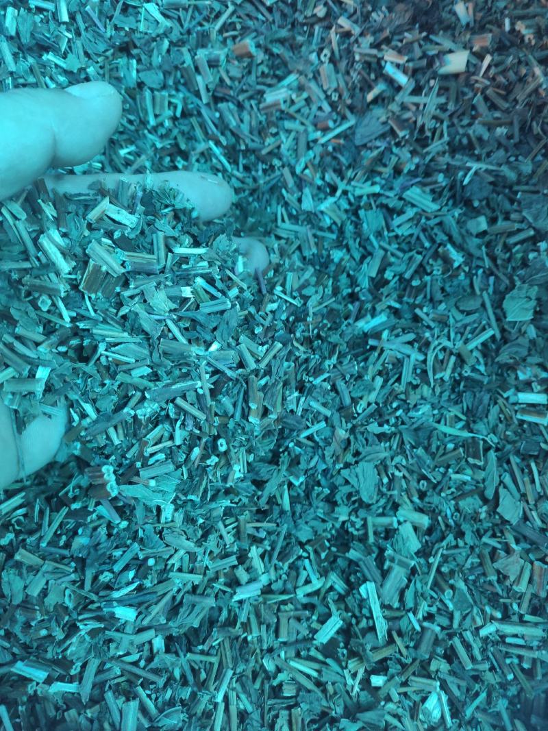 薄荷干货常年经营各种中药材欢迎选购！