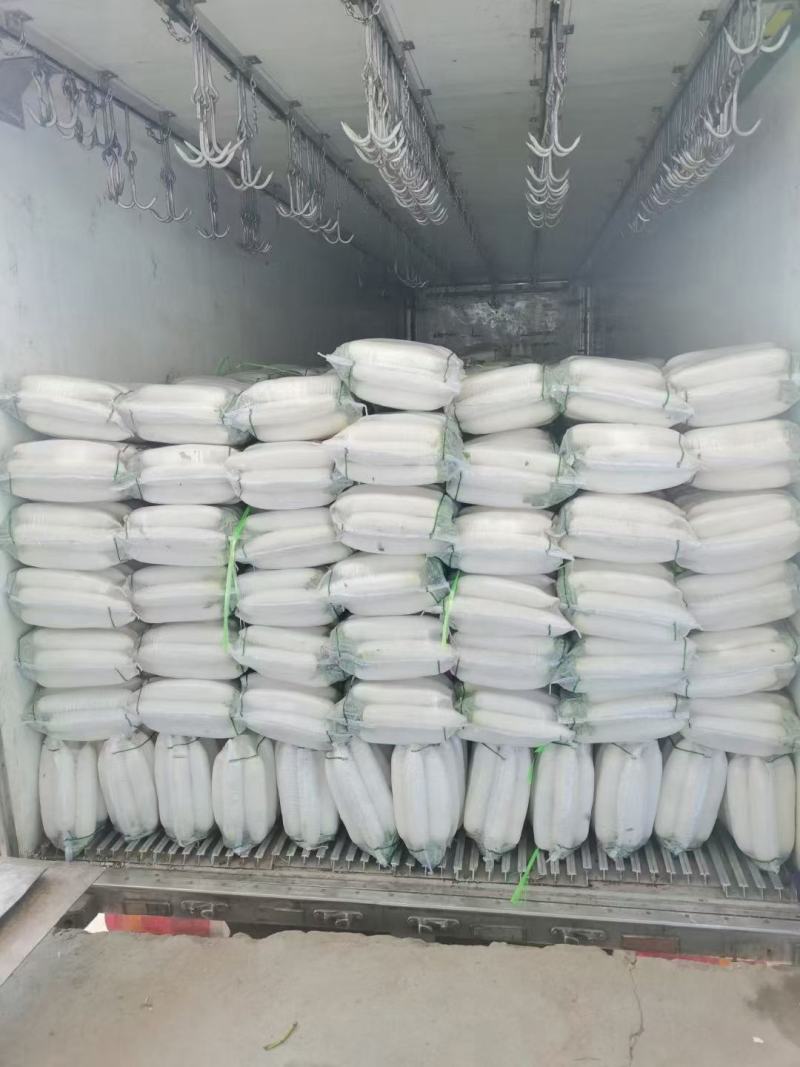 【白萝卜】产地直供，量大质优，常年大量批发精品白萝卜