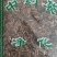 薄荷干货常年经营各种中药材欢迎选购！