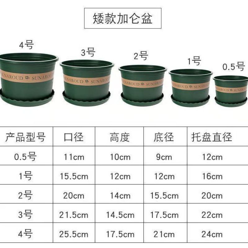 花盆矮胖加仑盆长盛牌花盆加厚树脂塑料绿萝等
