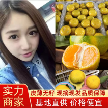 云南蜜橘桔子纯甜化渣供应团购电商一件代发