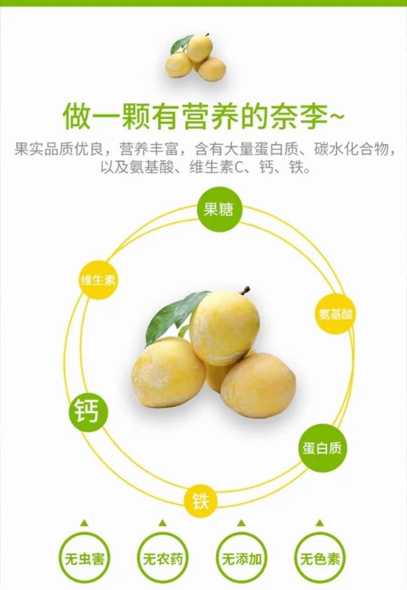 湖南文明半条被子水果之乡黄金奈李一件代发
