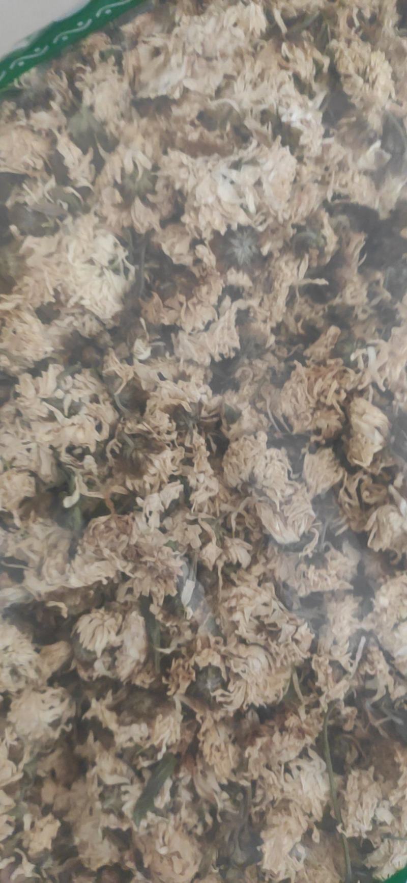 菊花干货菊花中药材干净无杂质量大从优！