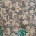 菊花干货菊花中药材干净无杂质量大从优！