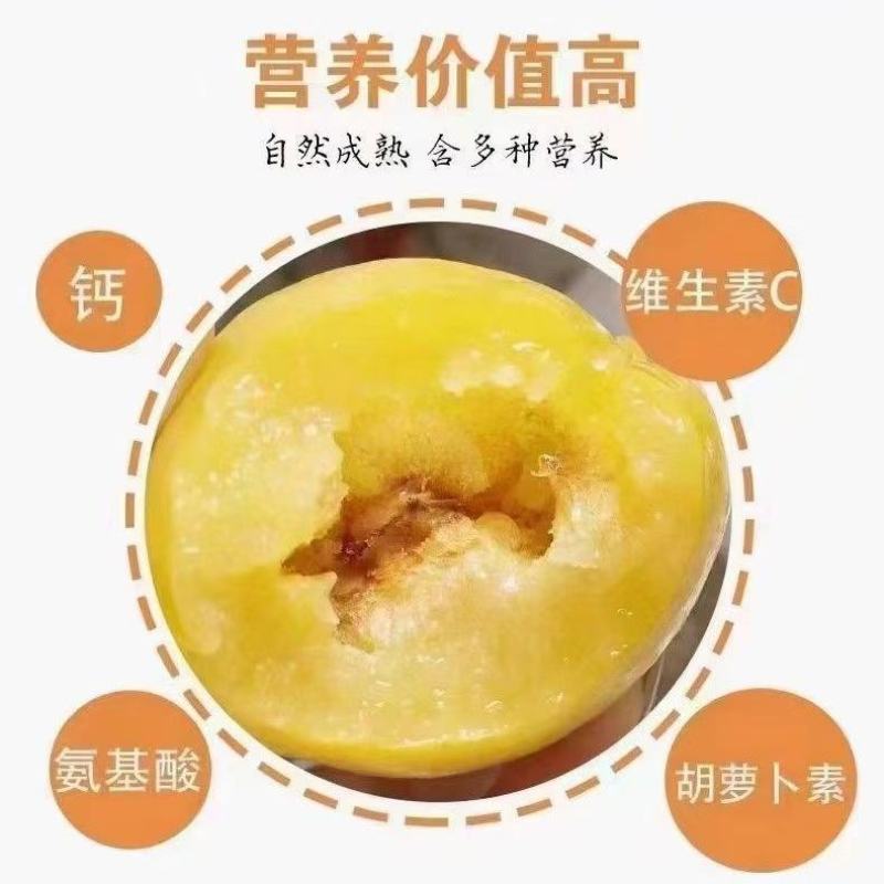 湖南文明半条被子水果之乡黄金奈李