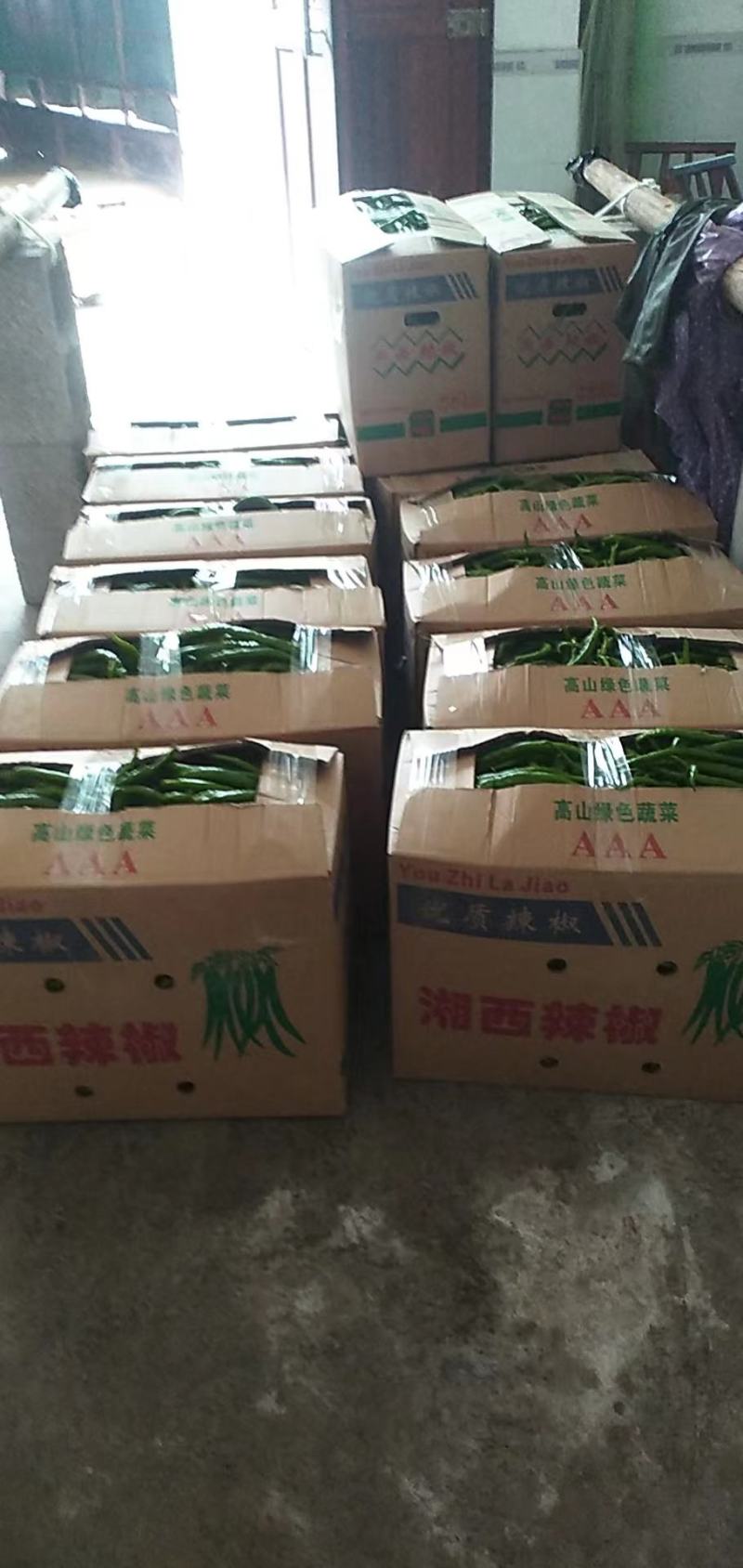 罗线
