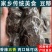 豆糁豆制品豆球豆豉豆团子干豆酱饼