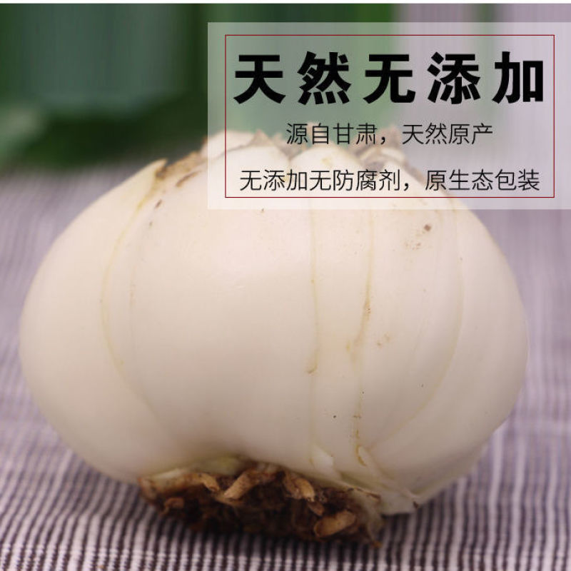 甘肃兰州新鲜甜百合现挖甜百合兰州百合百合产地直发量大从优
