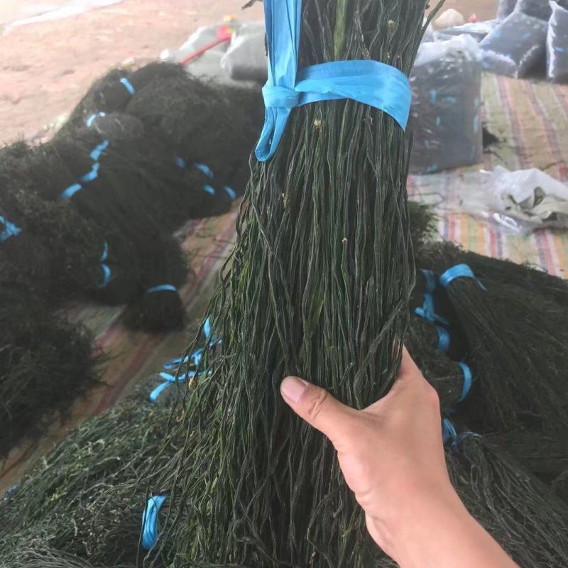 干豆角，精品干豆角大量供应，质量保证产地供应，干豆角，，