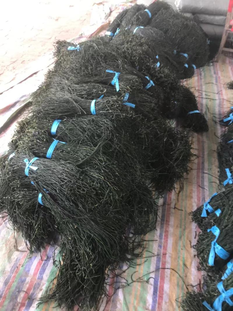 干豆角，精品干豆角大量供应，质量保证产地供应，干豆角，，