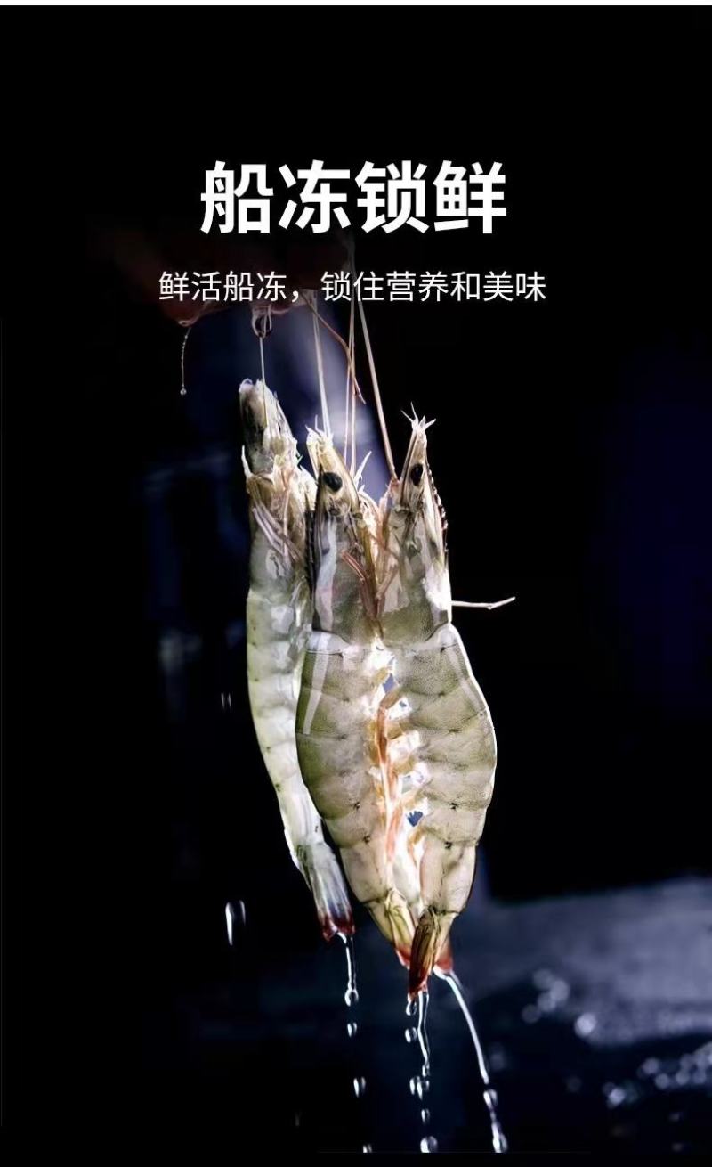新鲜海捕青岛大虾大号冷冻基围虾批发【顺丰包邮】