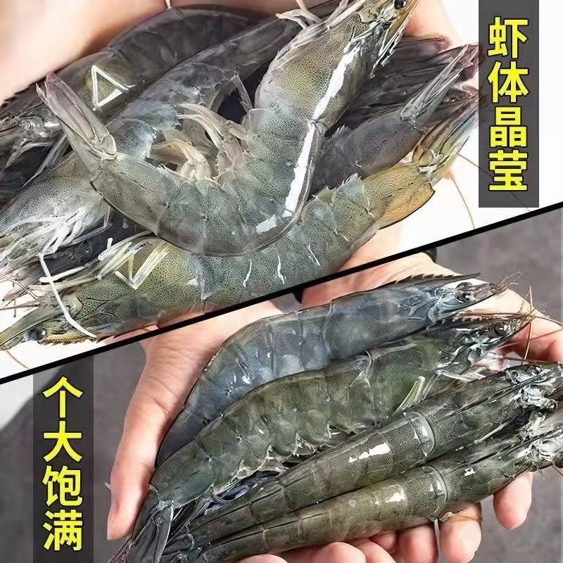 新鲜海捕青岛大虾大号冷冻基围虾批发【顺丰包邮】