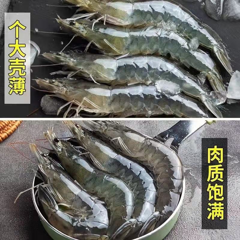 新鲜海捕青岛大虾大号冷冻基围虾批发【顺丰包邮】
