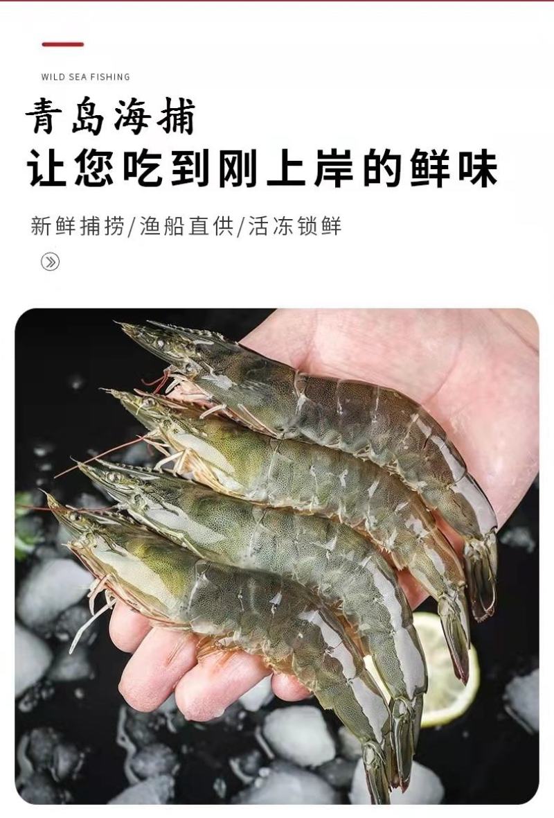 新鲜海捕青岛大虾大号冷冻基围虾批发【顺丰包邮】