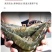 新鲜海捕青岛大虾大号冷冻基围虾批发【顺丰包邮】