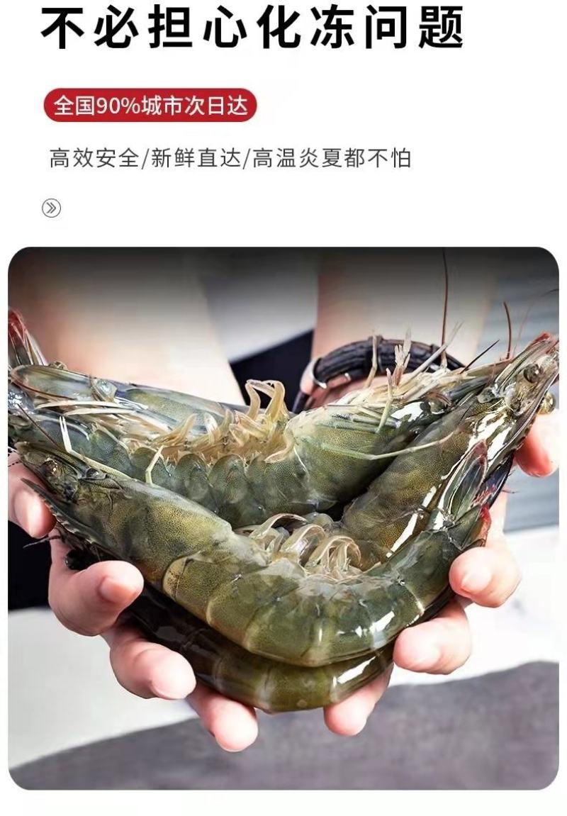 新鲜海捕青岛大虾大号冷冻基围虾批发【顺丰包邮】