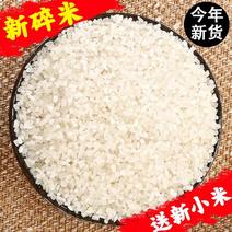 大量批发碎米，酿酒碎米，大碎米，食品碎米